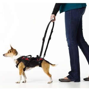 HELP EM UP aka BLUE DOG - dog harness. XS (Red), with walking loops